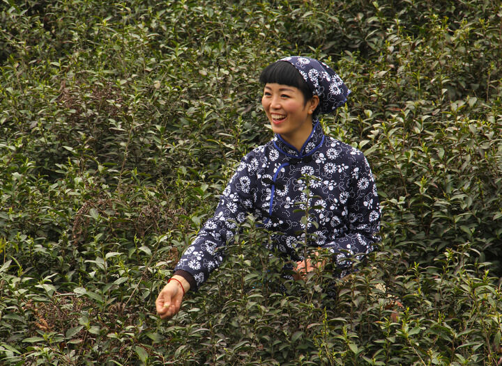 黑色电影手册